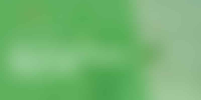 Mastering Pothos Plant Care - Green Thumb Tips 💡