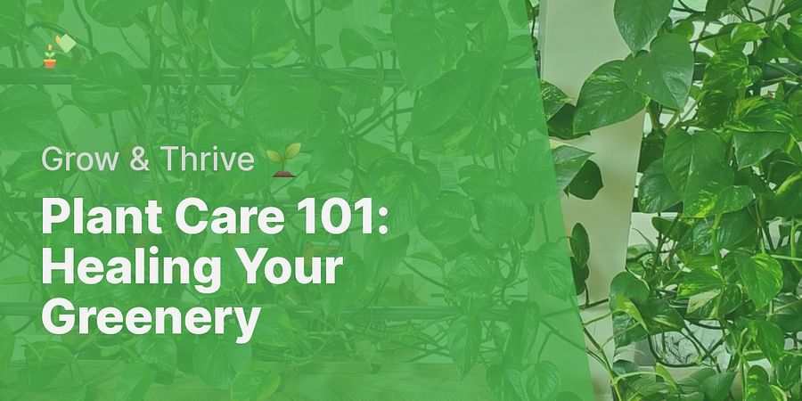 Plant Care 101: Healing Your Greenery - Grow & Thrive 🌱