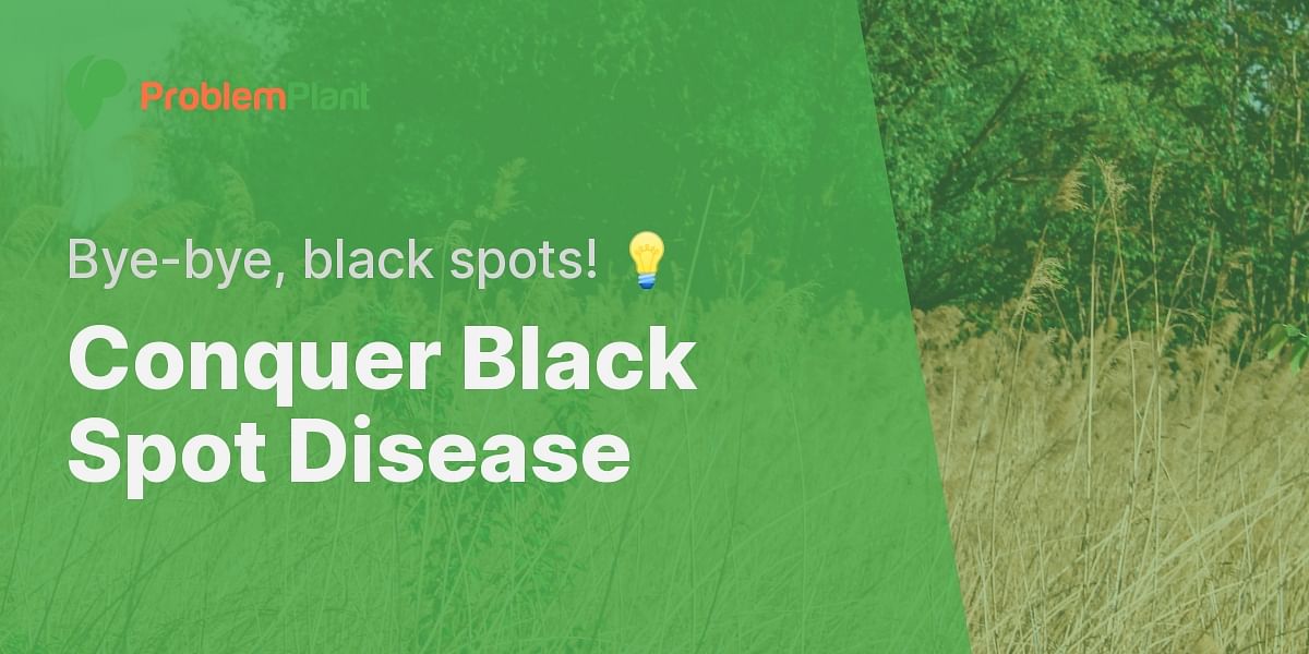 how-to-treat-black-spot-disease-on-plants