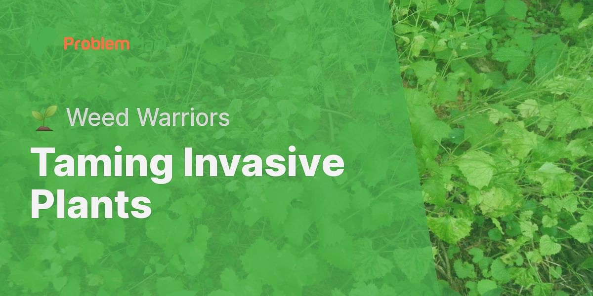 What are some common invasive plants and how can I control them?