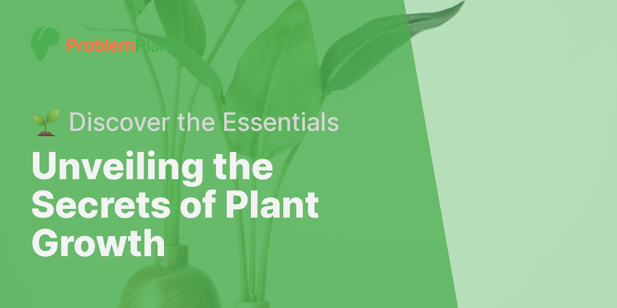 What Are The Common Requirements For Plant Growth?