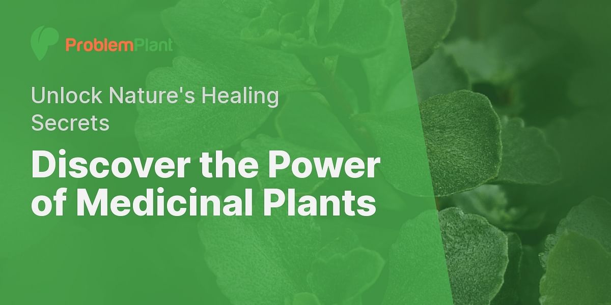 Medicinal Plants and Their Uses: Test Your Knowledge with a Quiz!