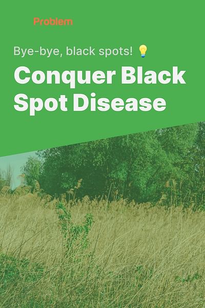 how-to-treat-black-spot-disease-on-plants